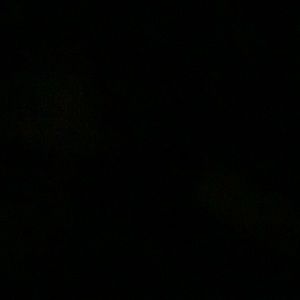 Meet your Posher, Carl